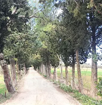 Foto annuncio 29
