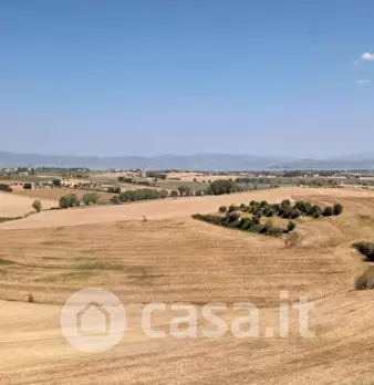 Foto annuncio 37