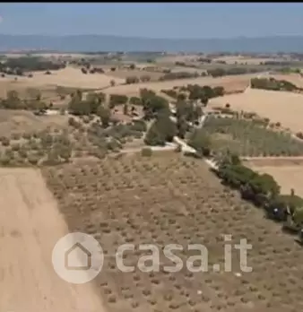 Foto annuncio 38
