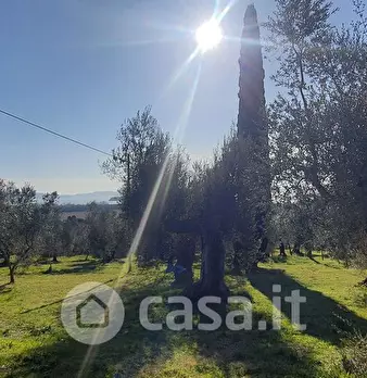 Foto annuncio 4