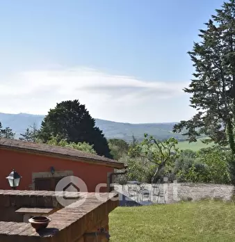 Foto annuncio 26