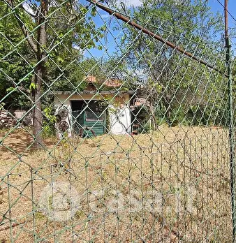 Foto annuncio 10