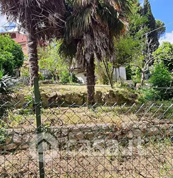 Foto annuncio 26