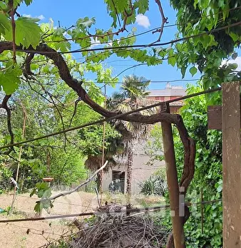 Foto annuncio 29