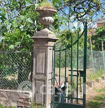 Foto annuncio 9