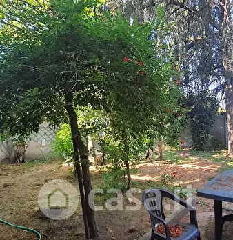 Foto annuncio 18