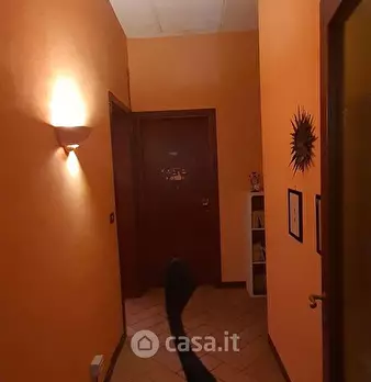 Foto annuncio 24