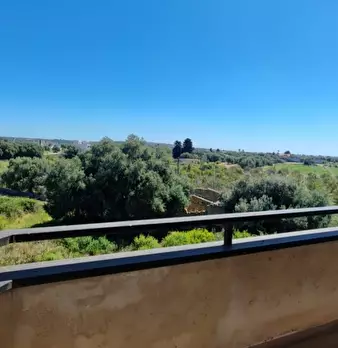 Foto annuncio 38
