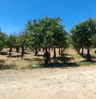 Foto annuncio 4