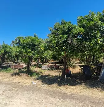 Foto annuncio 2
