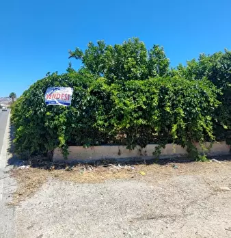 Foto annuncio 1