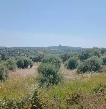 Foto annuncio 4