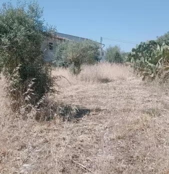Foto annuncio 3