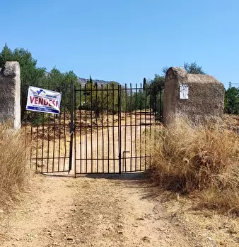 Foto annuncio 1