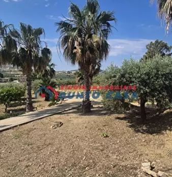 Foto annuncio 20