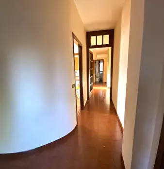 Foto annuncio 19