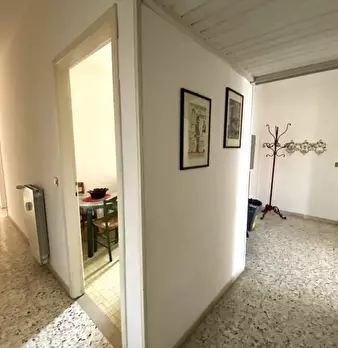 Foto annuncio 7