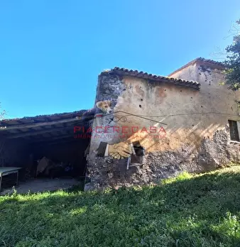 Foto annuncio 21