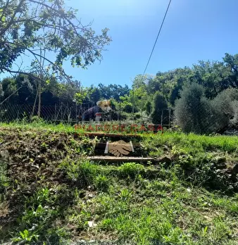 Foto annuncio 24