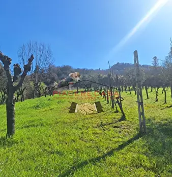 Foto annuncio 25