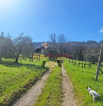 Foto annuncio 26