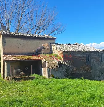 Foto annuncio 19