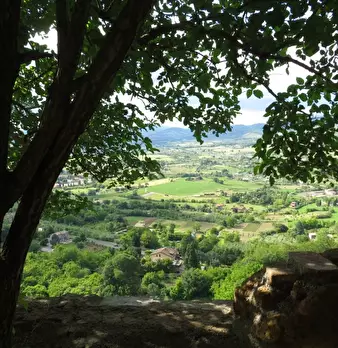 Foto annuncio 4