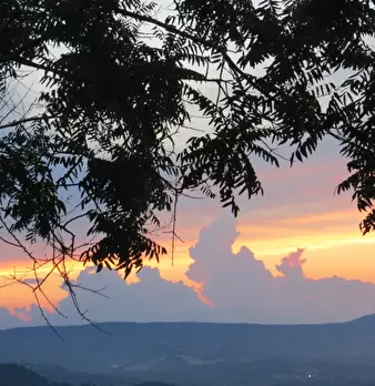 Foto annuncio 40