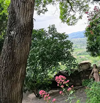 Foto annuncio 5