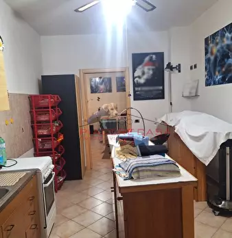 Foto annuncio 12