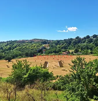 Foto annuncio 18