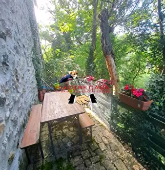 Foto annuncio 17