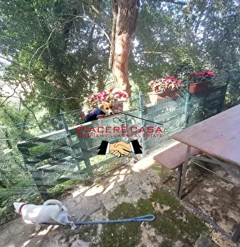 Foto annuncio 13