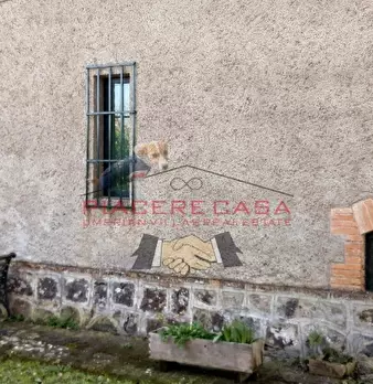 Foto annuncio 29