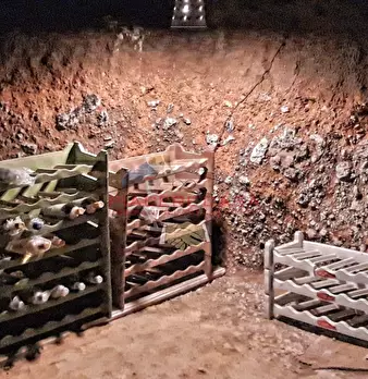 Foto annuncio 33