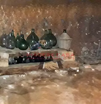 Foto annuncio 32