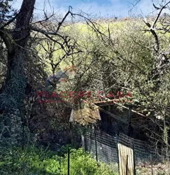 Foto annuncio 38