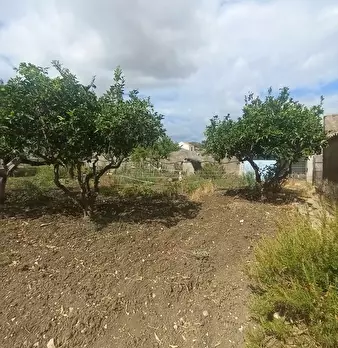 Foto annuncio 9