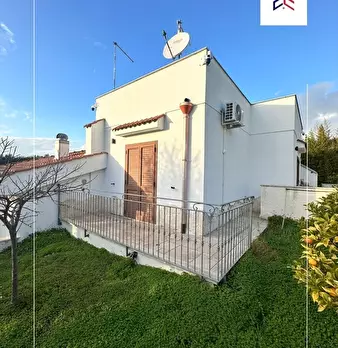 Foto annuncio 4