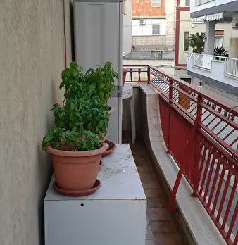 Foto annuncio 5