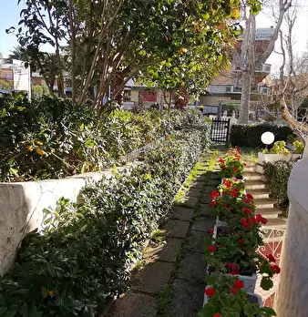 Foto annuncio 20