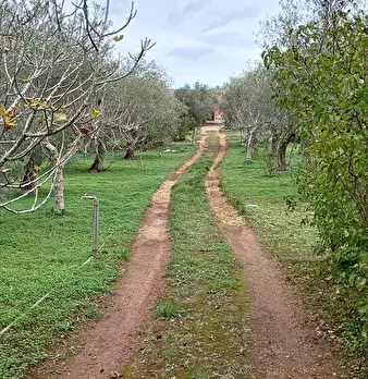 Foto annuncio 6