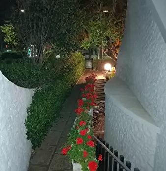 Foto annuncio 29