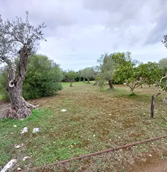 Foto annuncio 10