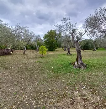 Foto annuncio 20