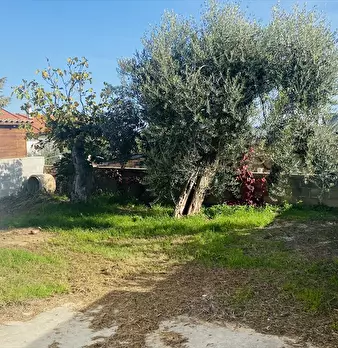 Foto annuncio 21