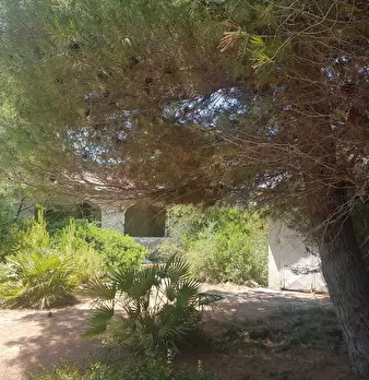 Foto annuncio 20