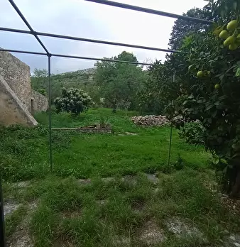 Foto annuncio 11