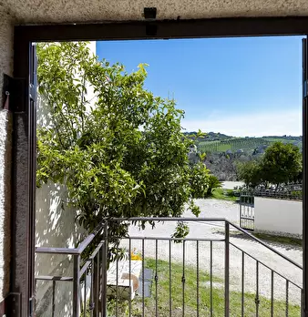Foto annuncio 30