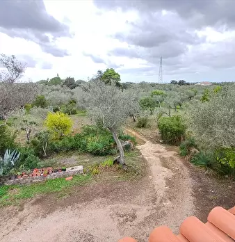 Foto annuncio 18